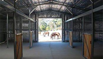 Equine Shelters Just Sheds