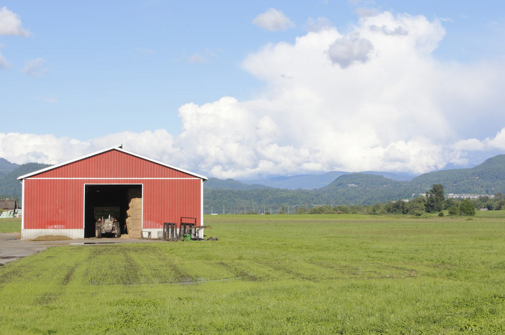 Red Shed On An Open Field — Just Sheds in Sunshine Coast, QLD